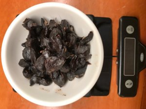 black-garlic-recipe