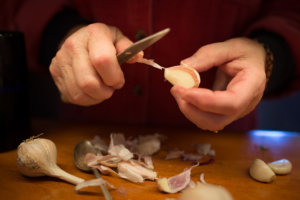 garlic-production